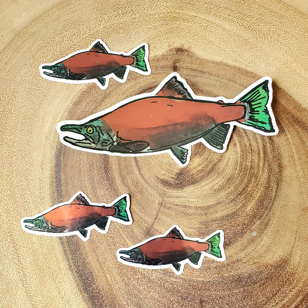 Kokanee sticker