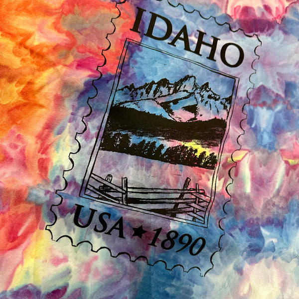 Ice Dyed Idaho Stamp T-shirt, Screen Printed Adult Sizes
