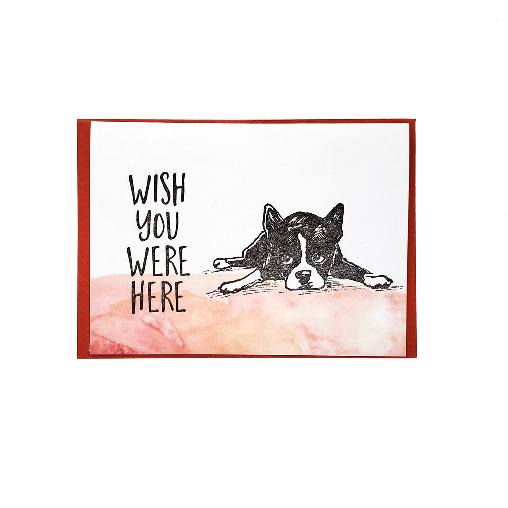Wish you were here boston terrier, letterpress printed card. Eco friendly
