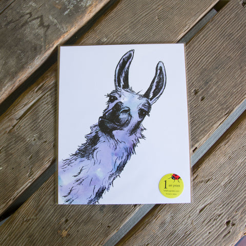 Llama art print, eco friendly
