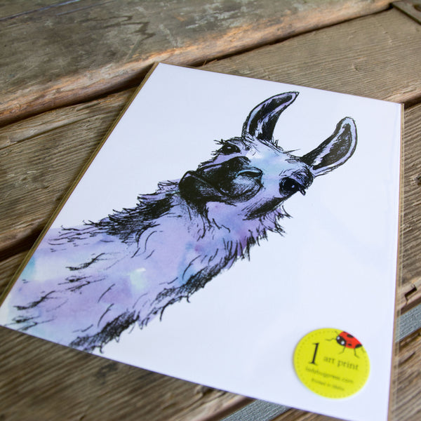 Llama art print, eco friendly