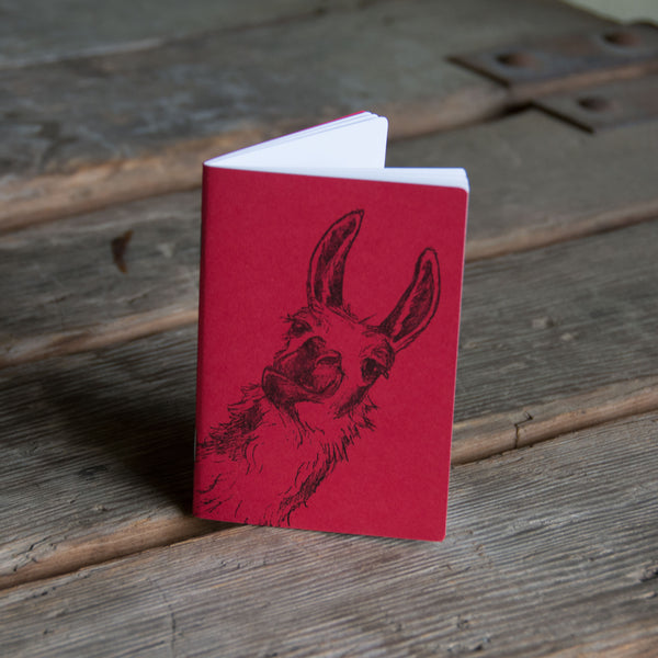Llama Notebooks, hand drawn and staple bound, letterpress printed eco friendly blank journal